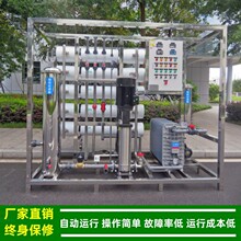 超纯水edi机器_2t双级反渗透+EDI模块+混床抛光制备锂电池生产用