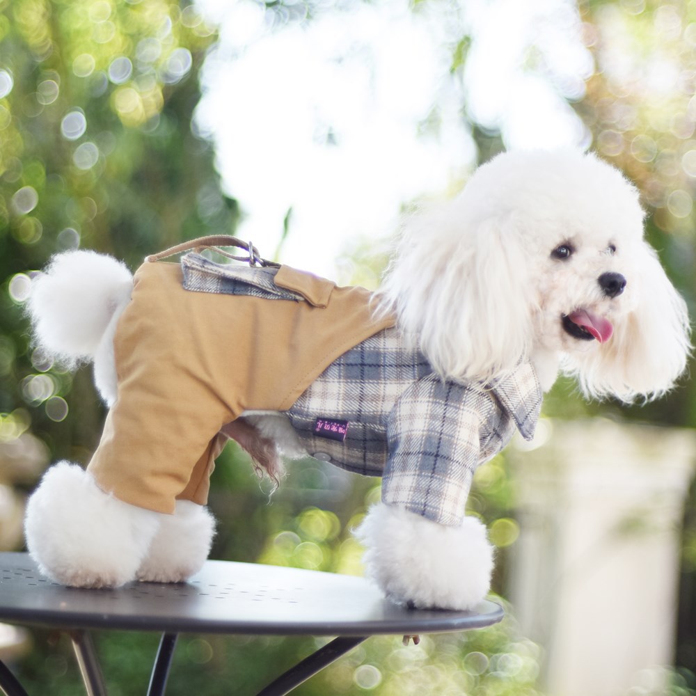 宠物四脚冬天棉衣小型犬通用口袋背带裤加厚保暖狗狗衣服工厂现货