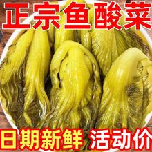 �����ω��~����ݲ������˽�˷۽z������~�{���̲˴��b���