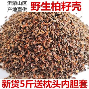 . Cypress Shell Pillow Cypress Seed Shell Pillow Platycladus orientalis Seed Shell Pillow Core Filler Pillowcase Liner Cover Pillow Sleeping