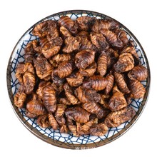 中药材批发 蝉蛹干 干蚕蛹 支持药检 一件代发货量大价优大货供应