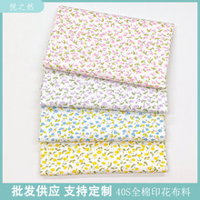 厂家现货 全棉纯棉印花布 小碎花 小清新素雅布匹布料做裙子 床品