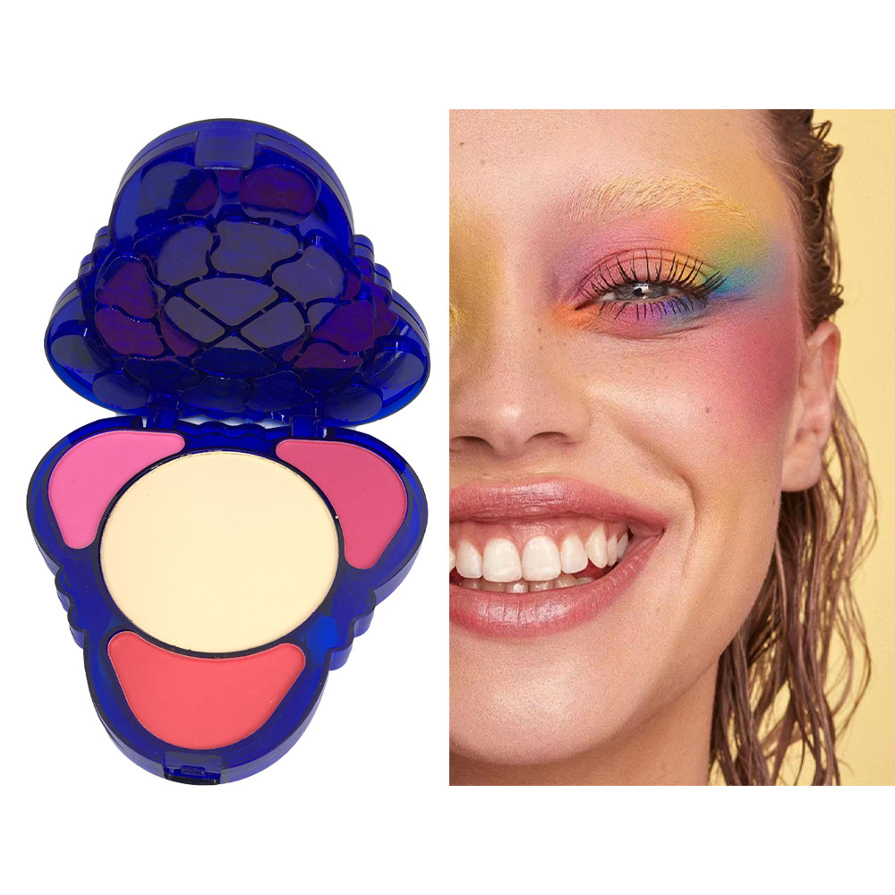 Productos nuevos al por mayor transfronterizos, una paleta de sombras de ojos multiusos, rubor y reparación de alto brillo, el color de la tierra no es fácil de volar, maquillaje europeo y americano