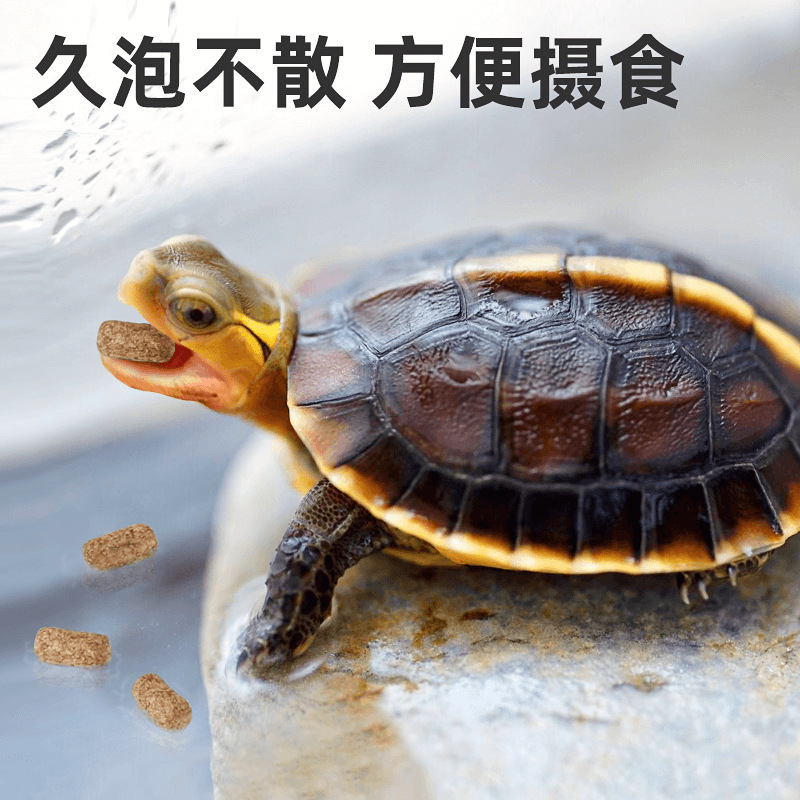 黄縁亀の餌 黄縁亀の餌箱 亀の餌箱 色を増やして発色する亀の餌|undefined