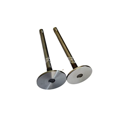 6150424210, Valves and components