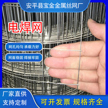 �F؛���l늺��W���⠝���ط���늺�䓽z�W�ӵ����o늺��WƬ