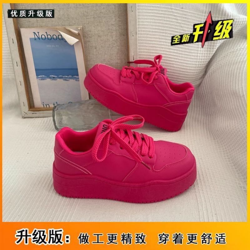 핑크 [부티크 업그레이드 버전]