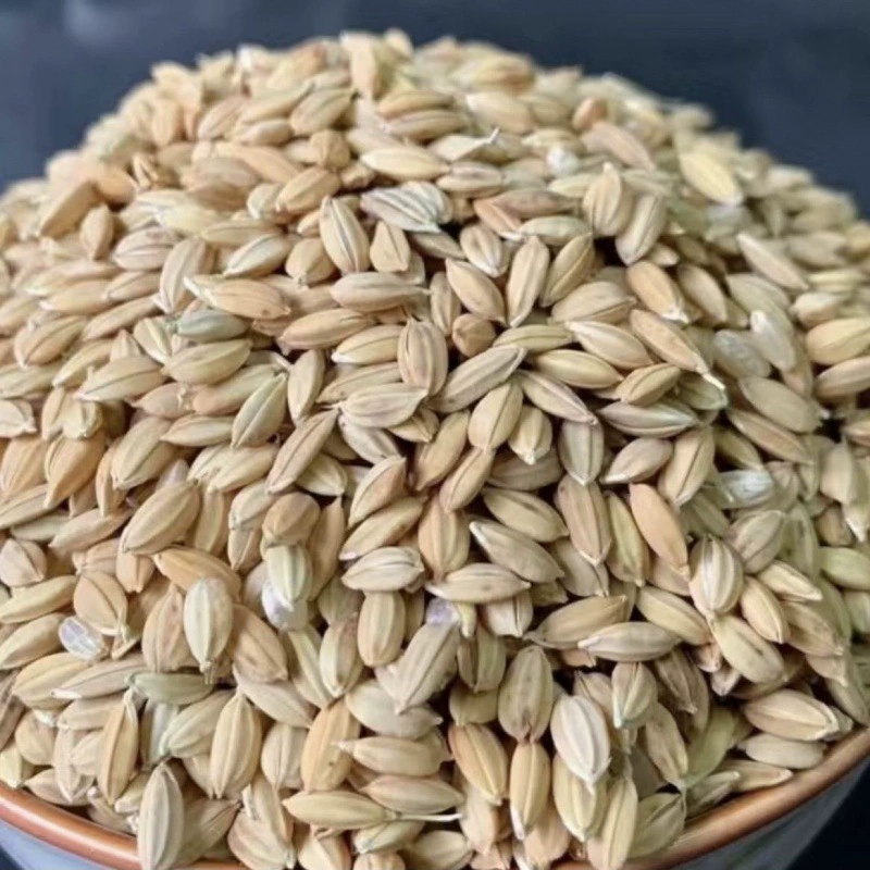 Рисовый корм для кур, северо-восточный круглозерный, дешевый рис, очищенный рис, корм для кур, доставка через границу