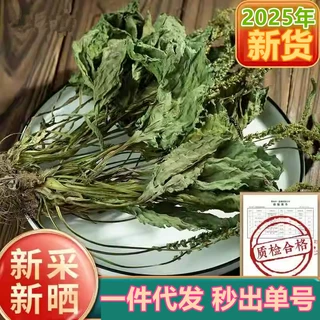 定制车前草小吴药材猫爪草泡干货整株车轮草500g干枝新货车前草