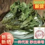 定制小吴整株500g猫爪草
