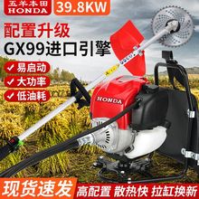 进口GX99大功率背负侧挂式除草机四冲程割草机多功能开荒松土批发