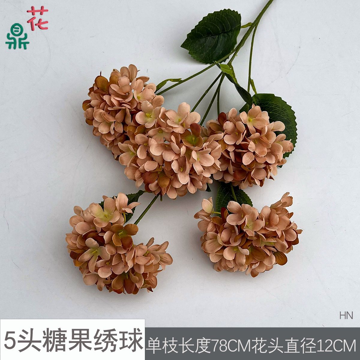 5등신 캔디 수국 HN 라이트 브라운