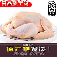 新鲜农家土鸡三黄鸡冷冻现杀童子鸡笨鸡整只包邮白条鸡生鸡肉鸡