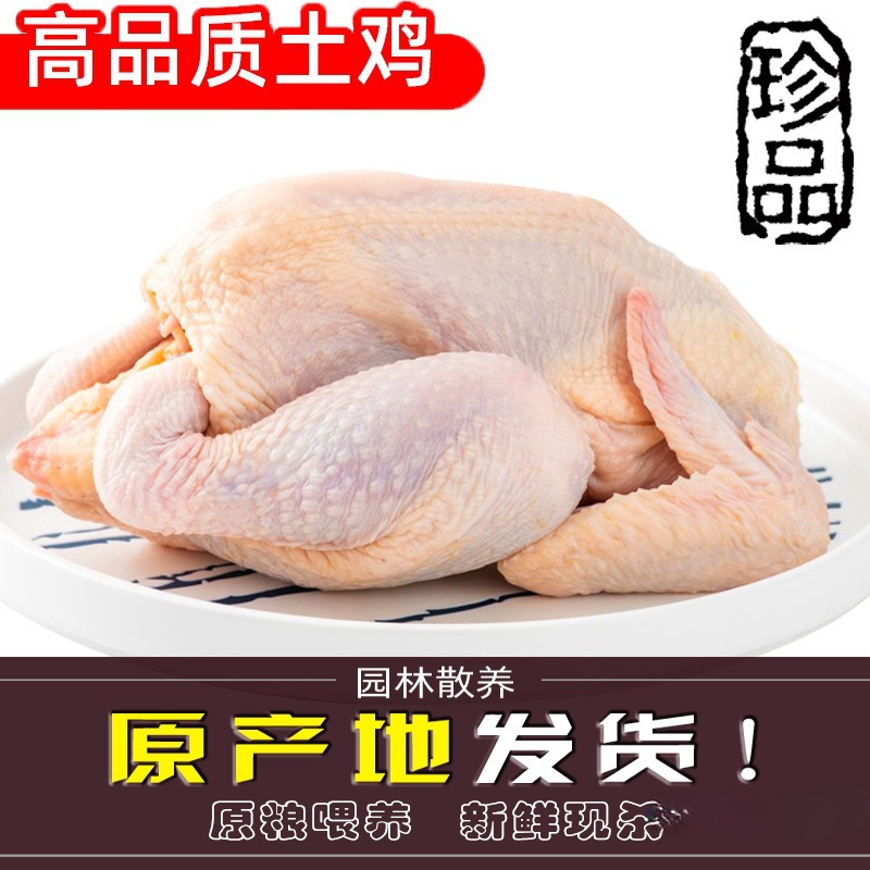 新鲜农家土鸡三黄鸡冷冻现杀童子鸡笨鸡整只包邮白条鸡生鸡肉鸡