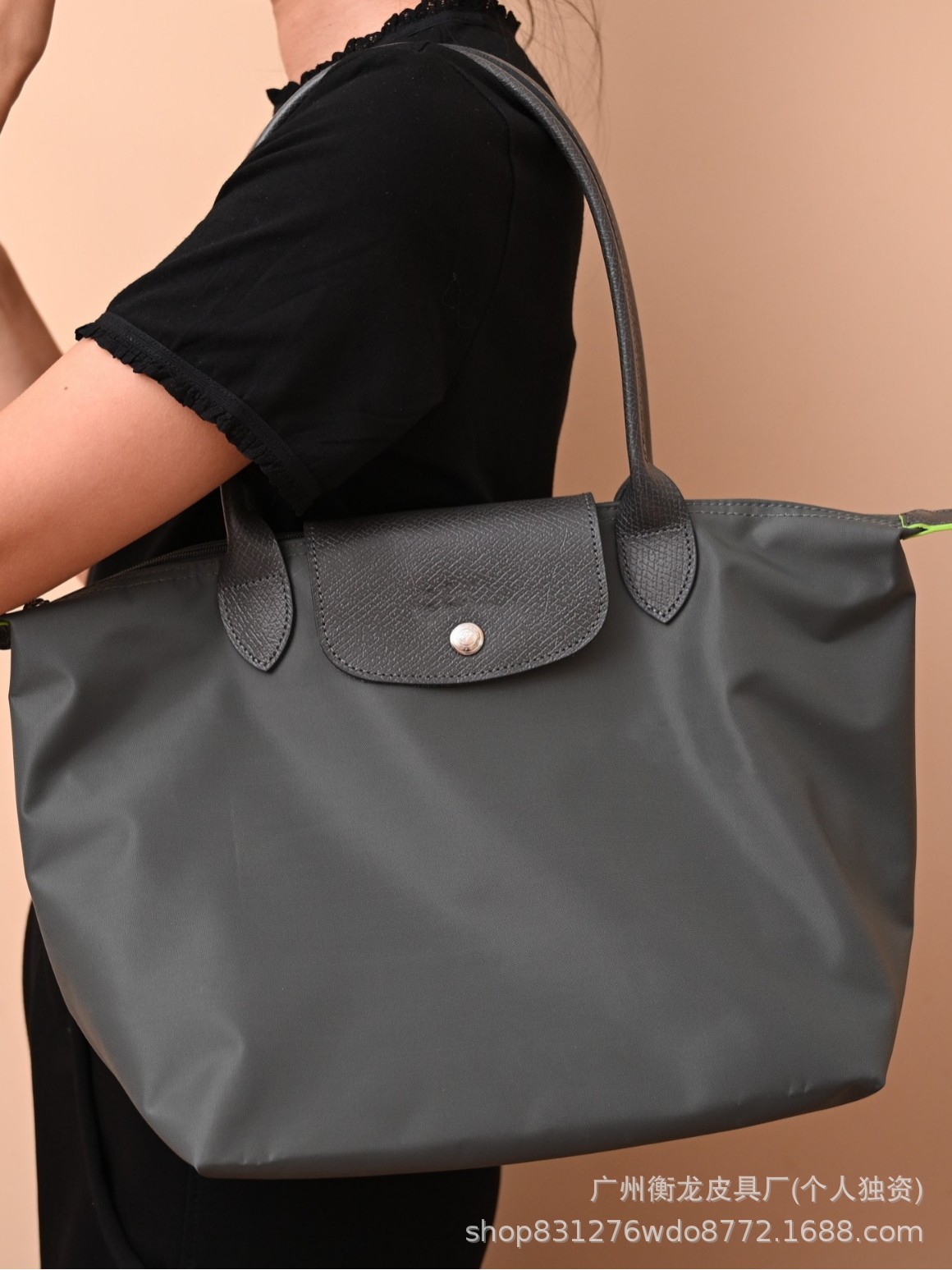 フランスのロンシャンナイロンバッグ、トートバッグ、ロングハンドルハンドバッグ、餃子バッグ、折りたたみ式ママバッグ、女性用2025年新作、ポータブル