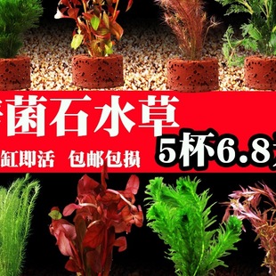 �~��ˮ��ֲ������쾰���wˮ�����ݾG����ԃ���ˮ�|���oˮ��