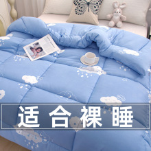 被子冬被冬天春秋加厚四季通用被芯单人双人学生棉被太空被宿舍被
