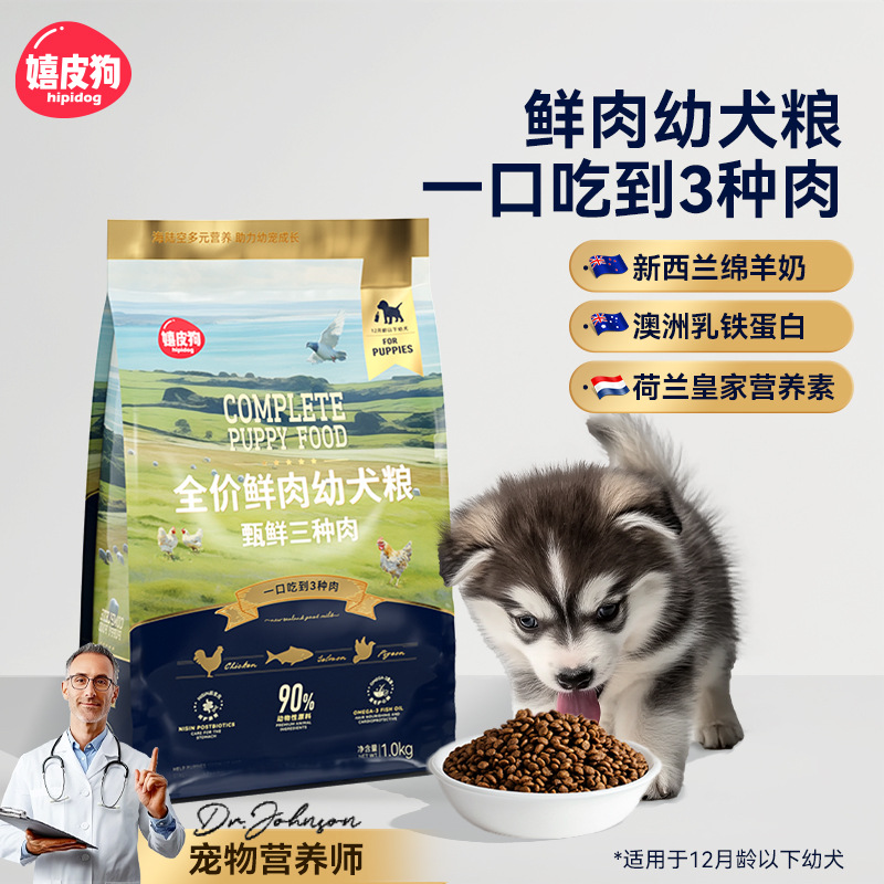 Carne fresca para perros hippie, comida para perros sin grano, comida para perros para cachorros, Teddy Corky, comida para perros pequeños, comida para mascotas de pelo dorado.