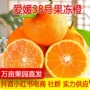 四川爱媛新鲜果冻水果