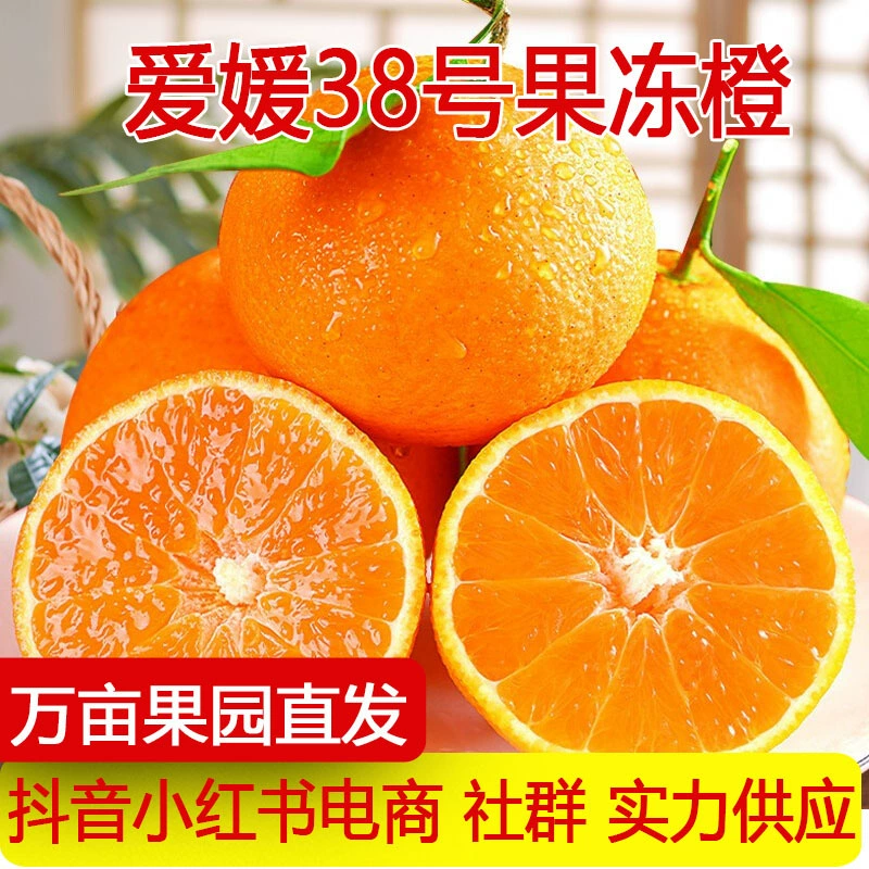 四川爱媛38号果冻橙8斤装橙子新鲜当季水果柑橘蜜桔子一件代发