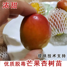 FӘ̫ꖹ箔YϱNֲ޽tStp