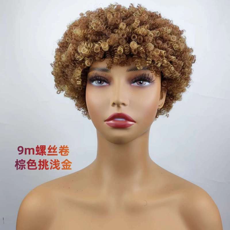 Short Hair Afro Kinky Curly Wigs For Women 100g爆炸头真人发|undefined