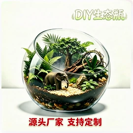 玻璃杯;微景观瓶;水培植物瓶