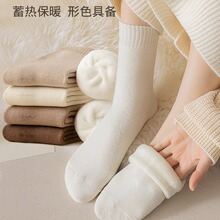 ���m��Ů�����ӽq����ëȦ���mŮ�Ӻ�ůë���m��ϵ�̿���m�ﶬ