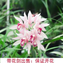 ����Ц�m���������玧�������������F�ļ����mī�m��߅���ܾGֲ