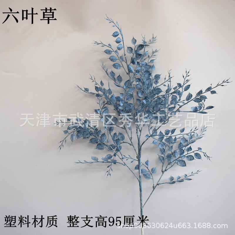 여섯 잎 클로버