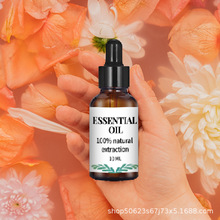 ����������޹�����a��Һ���ιܔU��ʯ�o����޹܇�d��޹�ӝ�������