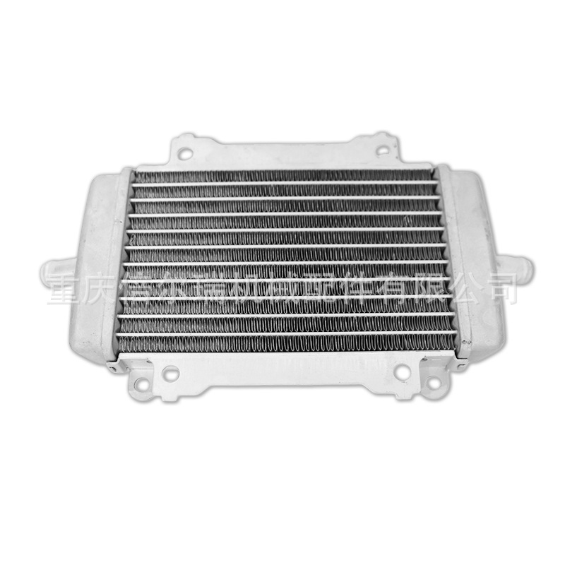 Fabricante de cabello directo para vespa GTS GTV 300 tanque de agua radiador de agua conjunto de enfriador de agua