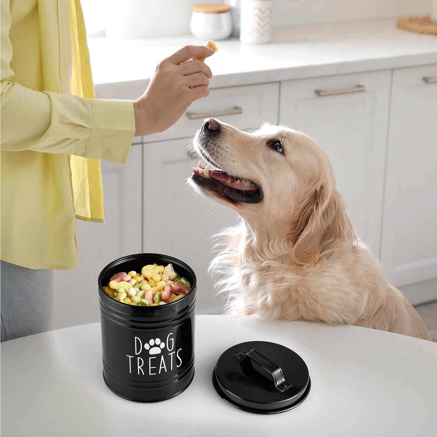 Cubo de almacenamiento de comida para perros, hierro forjado, caja de almacenamiento de comida para mascotas domésticas transfronterizas, bocadillos para perros y gatos, hueso, lata sellada de metal de gran capacidad