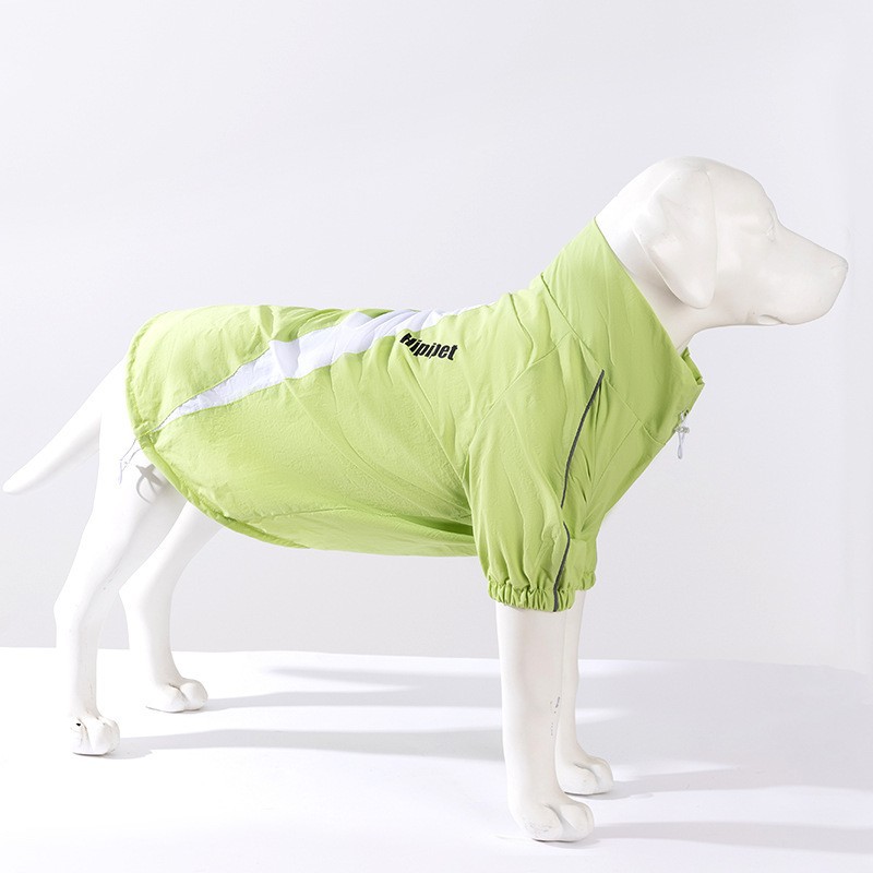 Gran perro dorado labrador gran perro de verano dos pies al aire libre chaleco frío ropa de perro de mascota