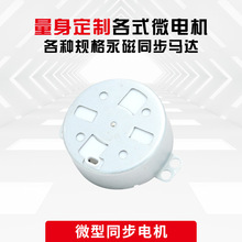 06低速交流永磁同步电机 家用灯饰电器马达空调风扇微型小电机