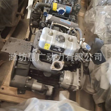 福建力佳SL2110ABN柴油机 矿山拖拉机配套28.6KW双缸发动机
