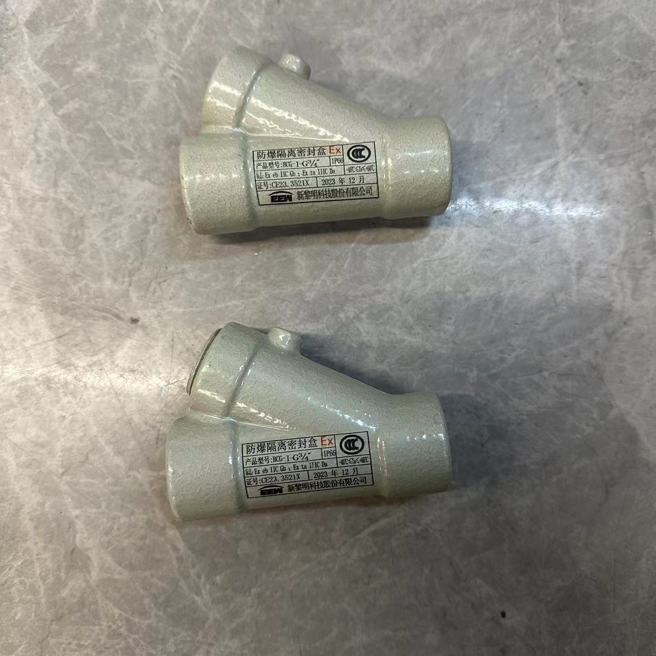 飞策华荣新黎明防爆隔离密封盒BCG- Y型G3/4防火盒纵向横向排水型