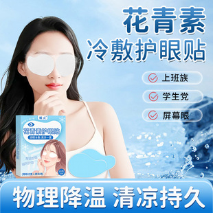 Warm Anthocyanin Eye Protection Patch Ice Patch to Relieve Eye Fatigue Kidsren, Teenagers, Students and Adults Ice Patch Eye Moisturizing Patch