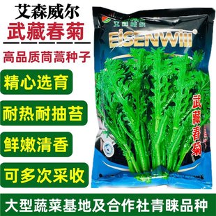 ��ش�������˷N������������~����N�ѻʵ۲˷N���͟���،���