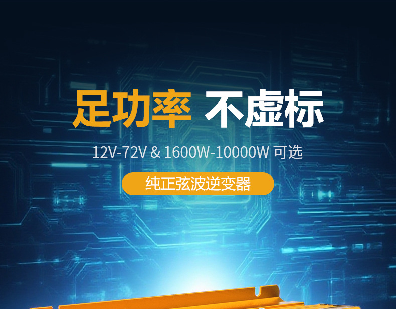 Z01金色、 (1).jpg