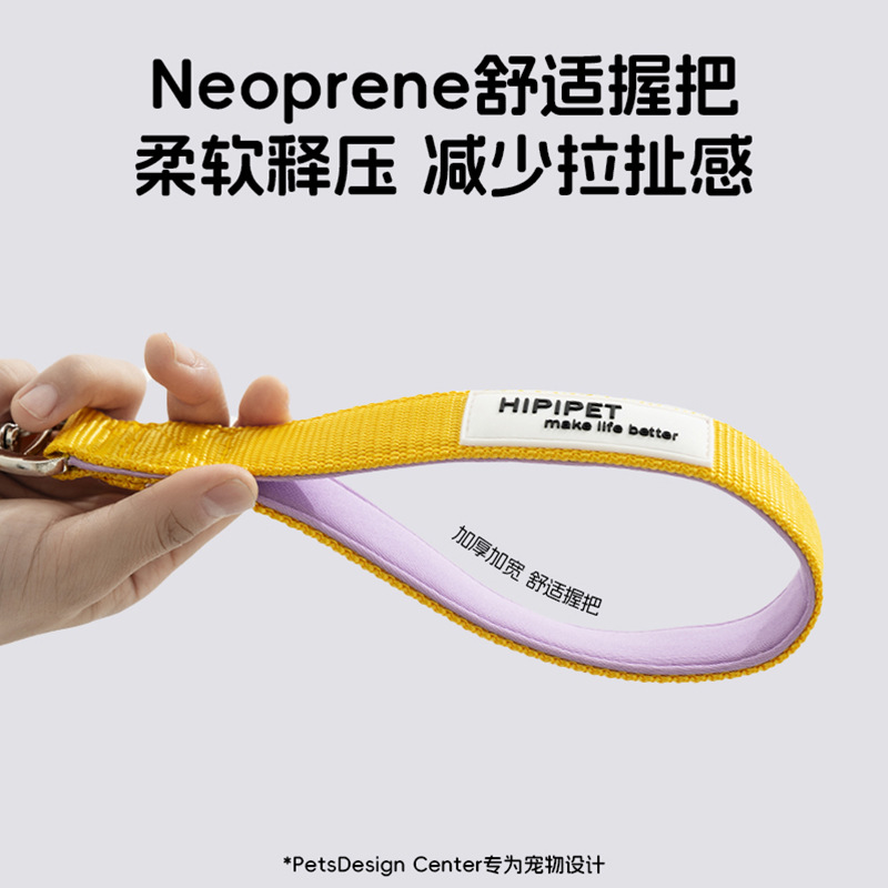 Los perros salen, perros pequeños y medianos, contraste de moda, uno arrastra tres, cuerda de tracción, muchos perros paseando a su perro, cuerda para perros, suministros para perros