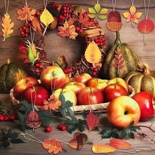 �¿��＾�ж����Y��ľ���b�Ʒ���b���~ľ�ƒ����ľ���ܘ��~�b�