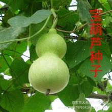 �����J�N�� С���J�߲˷N�Ӵ����N�^�p���J�N�ӻ��N�Ӵ����N�׻�