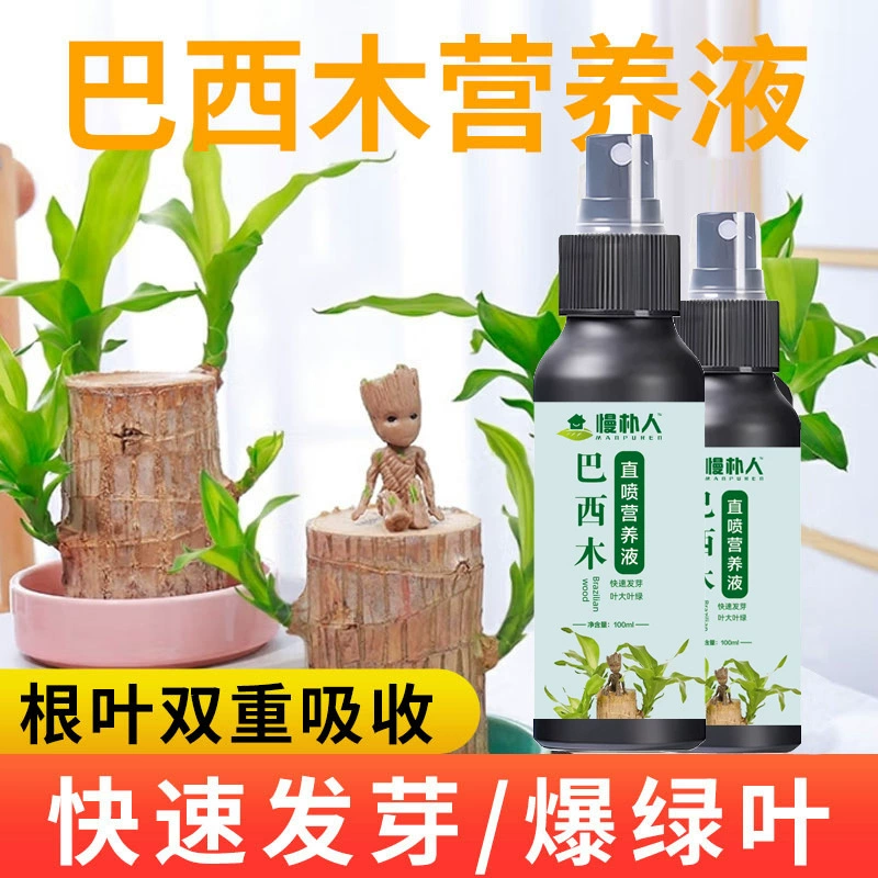 Специальный бразильский древесный питательный раствор для Daifa Old Pile Цветочное удобрение для горшечных растений Universal Lucky Wood Water Plant Fertilizer