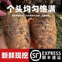 Fݴrr FڬFlȻ  Ҝxʳ S]