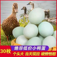 鸭蛋农村放养土新鲜散养鸭蛋批发新鲜农家绿壳一箱生跨境厂家批发