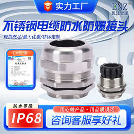 304不锈钢防爆格兰头 不锈钢固定锁紧连接器填料函 电缆防水接头