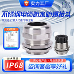 304不锈钢防爆格兰头 不锈钢固定锁紧连接器填料函 电缆防水接头