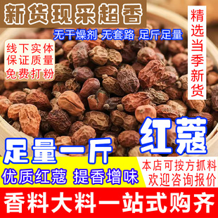 �t��ޢ �t�� �t���� �t�� ������ ��ș�ļt��ޢ �t�������{�����l