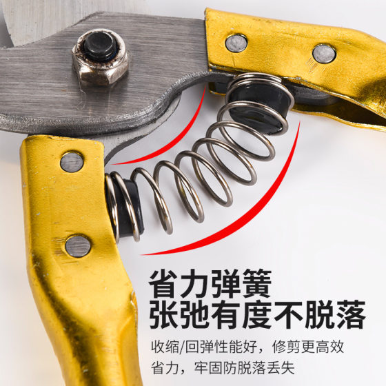 Garden Fruit Branch Scissors Sk5 Household Horticultural Garden Labor-saving Pruning Shears Household Multi-functional Fruit-picking Shears